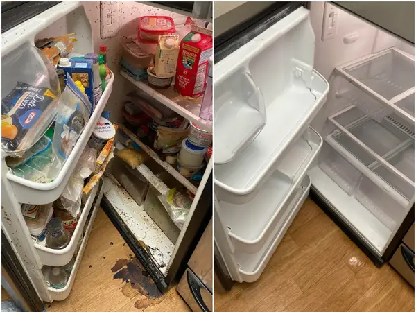 Fridge cleaning done by Rkleen cleaning service